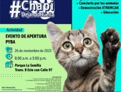 Lanzamiento Chapi Dejando Huella