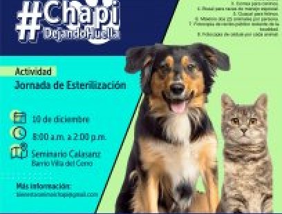 Jornada de esterilización