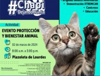 Evento de protección y bienestar animal