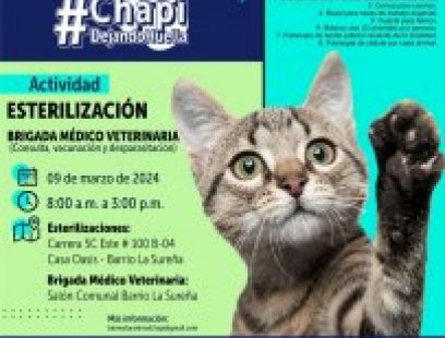 Jornada de Chapi Dejando Huella en el barrio La Sureña