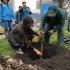 la Bogotá Mejor Para Todos hemos plantado 184.502 nuevos árboles