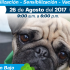 En Chapinero se realizará la Tercera Jornada de Protección y Bienestar Animal