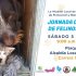 Jornada adopción de caninos y felinos