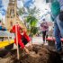 Distrito y comunidad recuperan el Parque Lourdes para recibir la Navidad