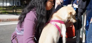 Foto de bienestar animal